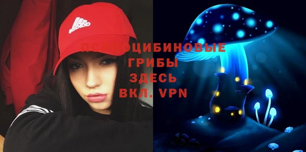 а пвп мука Баксан