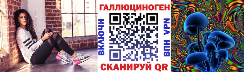 это клад Козловка Псилоцибиновые грибы Psilocybe